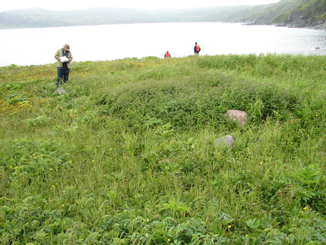 Recording a rock alignment and an associated square turf foundation. Probably 19th-century.